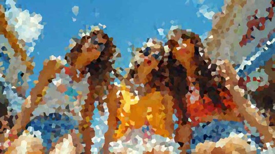 How Sleeping Less than 7 Hours a Night Can Lead to Weight Gain