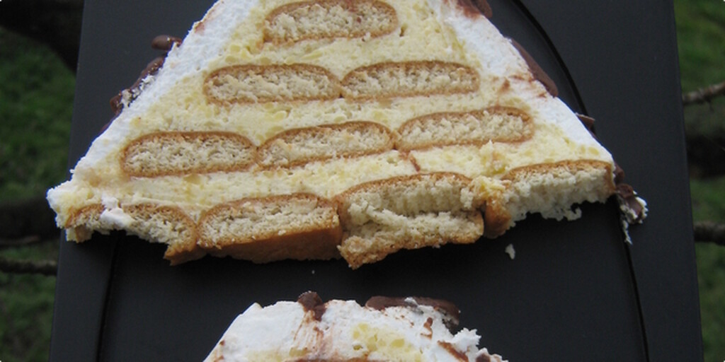 Ëmbëlsirë me biskota plazma