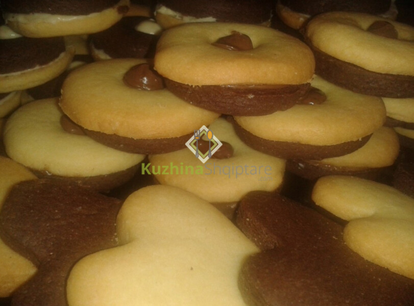 MOTO-Biskota shtëpie