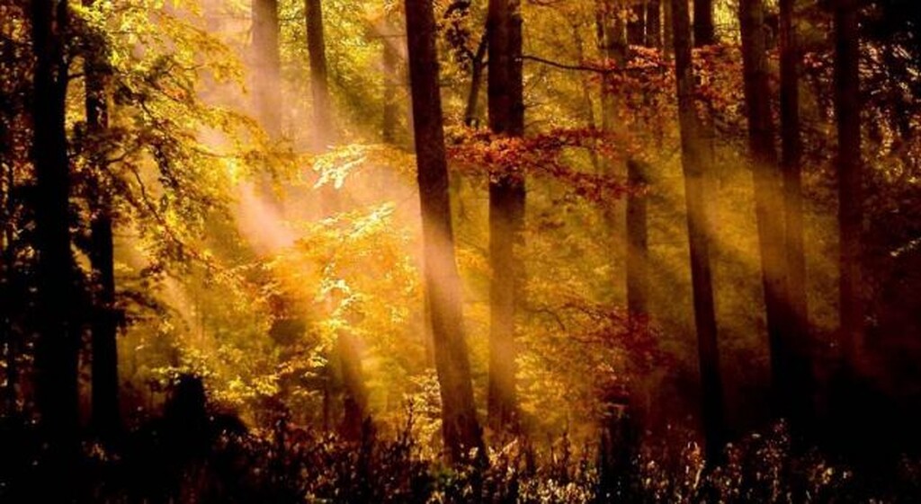 Kjo muzikë shëron shpirtin dhe qetëson: Si ta eliminoni stresin për 5 minuta? (Audio)